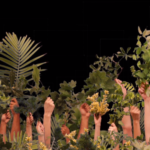 VFebrer-Vivarium