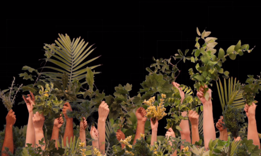 VFebrer-Vivarium