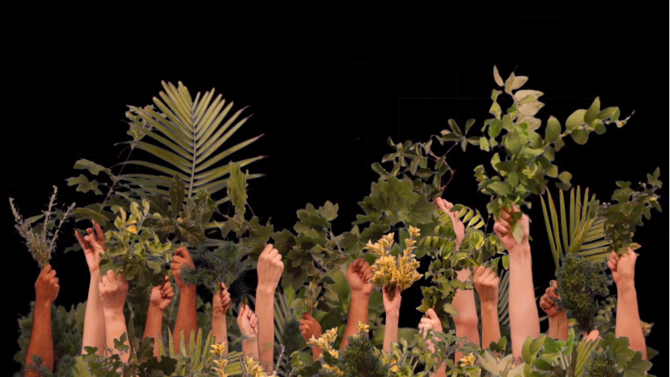 VFebrer-Vivarium